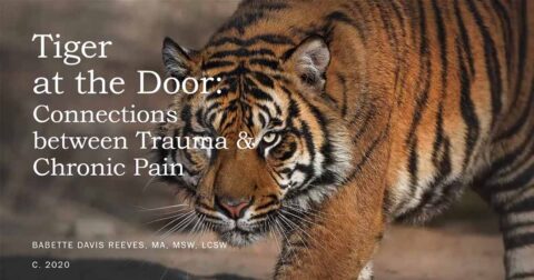 The Tiger at the Door: The Relationship between Trauma and Chronic Pain with Babette Reeves, MA, MSW, LCSW