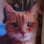 Profile picture of Jackie Hodnefield